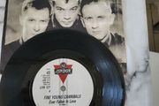 fine young Cannibals Ever Fallen in Love vinyl