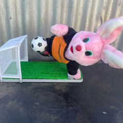 Collectable Limited Edition Duracell Football Bunny Animated 2AA Battery Japan