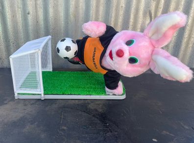 Collectable Limited Edition Duracell Football Bunny Animated 2AA Battery Japan