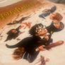 Vintage Harry Potter Blanket/Never Used. Image 2