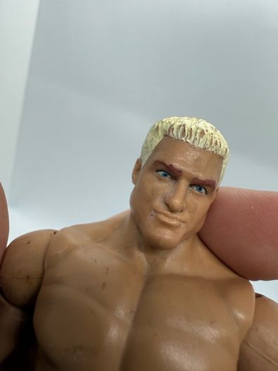 wwe Dolph Ziggler action figure