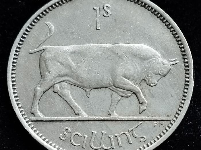 Ireland - 1954 - Shilling - Bull - KM.14a - [2468]
