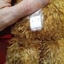 Brown Bear Jellycat Image 3