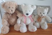 Bears