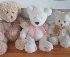 Bears