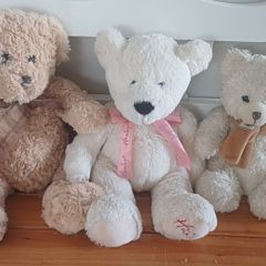 Bears