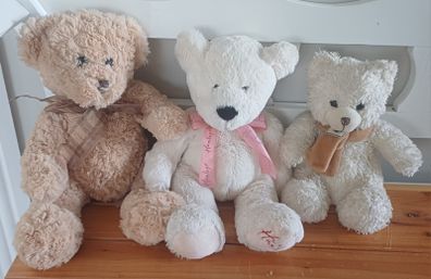 Bears