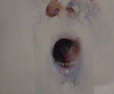 "HEAD" Louis Le Brocquy BOI Ltd.Ed.Print
