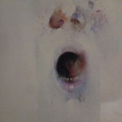 "HEAD" Louis Le Brocquy BOI Ltd.Ed.Print