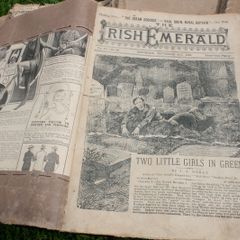 Very Rare - Collection "The Irish Emerald" 1895-1897