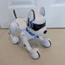 Ziggy Robo Dog Image 9