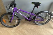 Frog bike 52