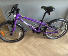Frog bike 52