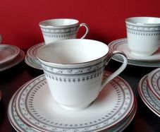 NEW   Royal Doulton Fontana Fine China plates and cups