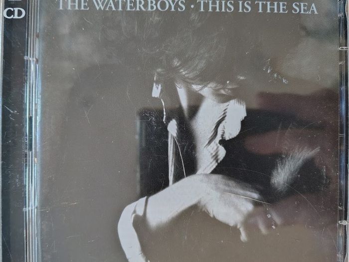 The Waterboys - This Is The Sea 2xCD (2004) Remastered Reissue w/Bonus Disc Folk Rock EX+
