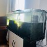 fish tank aquarium Image 2