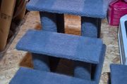 Large Cat Steps