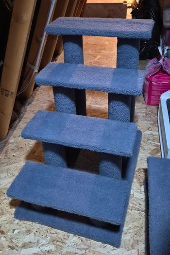 Large Cat Steps
