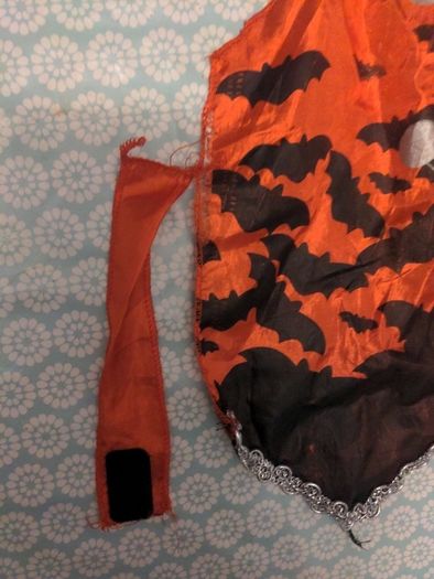 Dog Halloween costume
