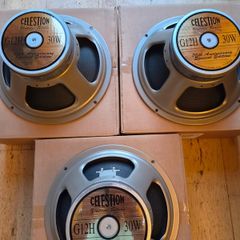 Celestion G12H30 Speakers