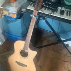 accoustic guitar