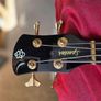 Spector Legend Neck-thru Image 5