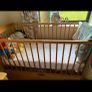 Cot with underneath storage Image 4