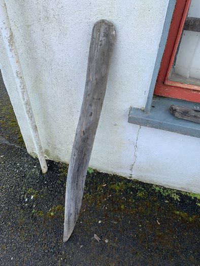 Substantial Collection of Old Bog Oak. Delivery by van can be arranged.