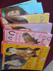 Childrens book series- AmeliaJane, Chestnut Hill, Bella Broomstick