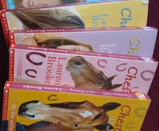Childrens book series- AmeliaJane, Chestnut Hill, Bella Broomstick
