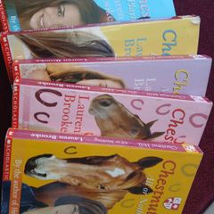 Childrens book series- AmeliaJane, Chestnut Hill, Bella Broomstick