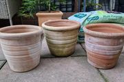 Terracotta pots