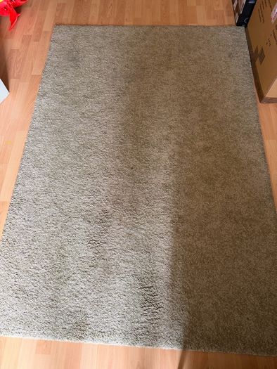 carpet