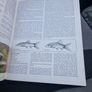Complete Aquarium Encyclopaedia of Tropical Freshwater Fish  1 Image 7