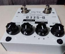 Harley Benton D Seed Multiple delay box
