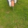 stihl ts420 Image 3