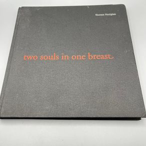 Two Souls in One Breast - Hardcover - Theresa Nanigian