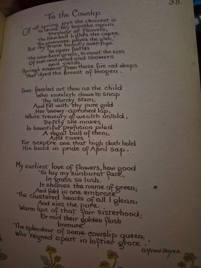 Vintage The Country Diary of an Edwardian Lady