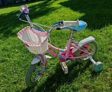 Raleigh kids bike