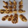 The Regency Company Lotus Flower Carved Chess pieces made of Sheesham Image 5