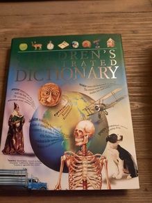 Illustrated Childrens Dictionary Hardback