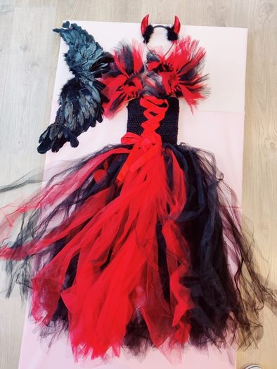 Fancy Dress Costume