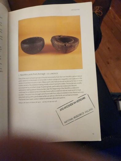 A Guide To The  National Museum Of Ireland. By Patrick   F. Wallace. Paperback In Good Condition.