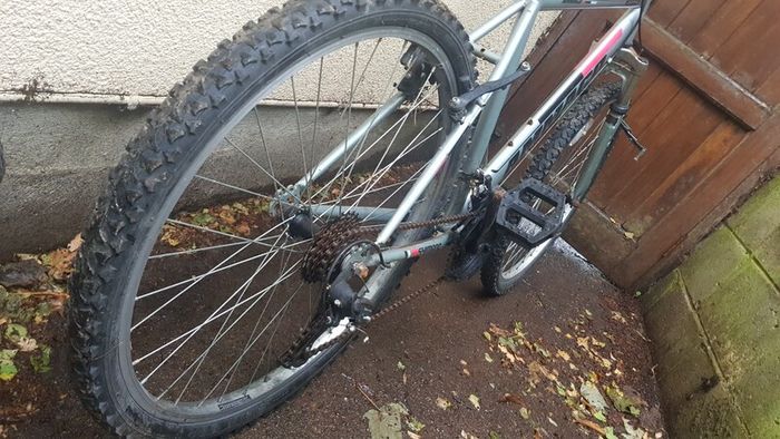 Mountain bike