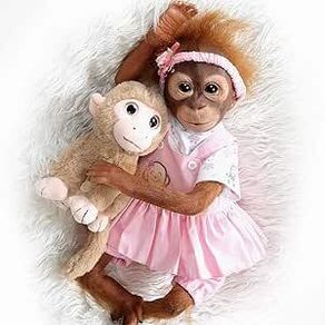 Reborn Monkey Boy or Girl