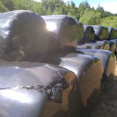 70 Silage bales