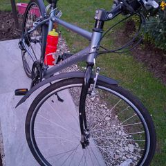 Men's Bicycle
