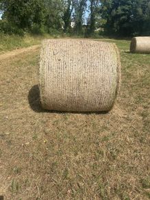 Hay bales