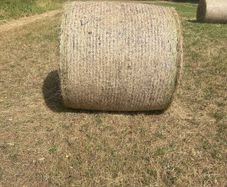 Hay bales