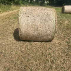 Hay bales
